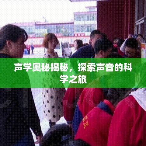 聲學(xué)奧秘揭秘，探索聲音的科學(xué)之旅