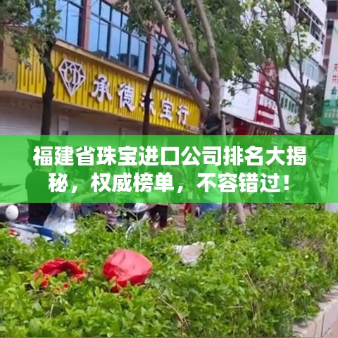 福建省珠寶進口公司排名大揭秘，權(quán)威榜單，不容錯過！