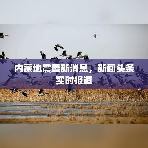 內(nèi)蒙地震最新消息，新聞頭條實時報道