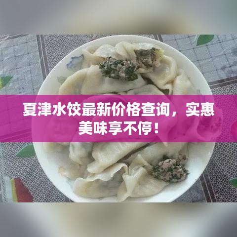 夏津水餃最新價格查詢，實惠美味享不停！