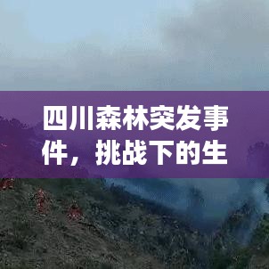 四川森林突發(fā)事件，挑戰(zhàn)下的生態(tài)守護(hù)與保護(hù)重要性