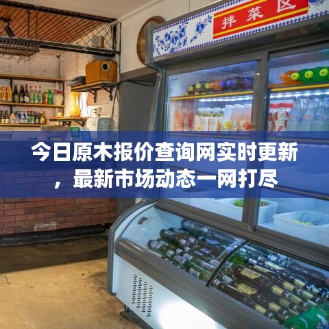 今日原木報價查詢網(wǎng)實時更新，最新市場動態(tài)一網(wǎng)打盡