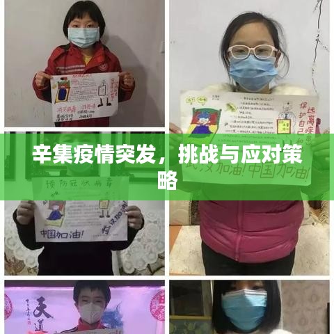 辛集疫情突發(fā)，挑戰(zhàn)與應(yīng)對(duì)策略