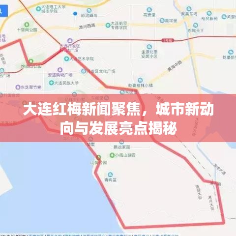 大連紅梅新聞聚焦，城市新動向與發(fā)展亮點揭秘