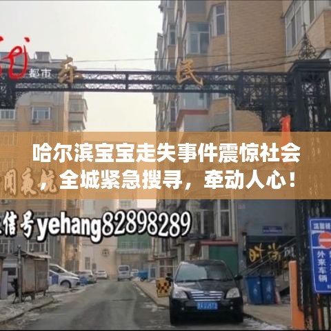 哈爾濱寶寶走失事件震驚社會(huì)，全城緊急搜尋，牽動(dòng)人心！