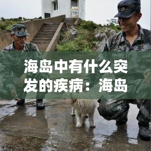 海島中有什么突發(fā)的疾?。汉u現(xiàn)狀 