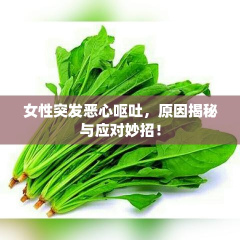 女性突發(fā)惡心嘔吐，原因揭秘與應(yīng)對(duì)妙招！
