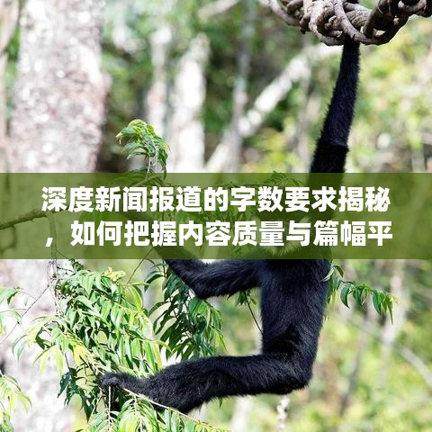 深度新聞報道的字數(shù)要求揭秘，如何把握內容質量與篇幅平衡？