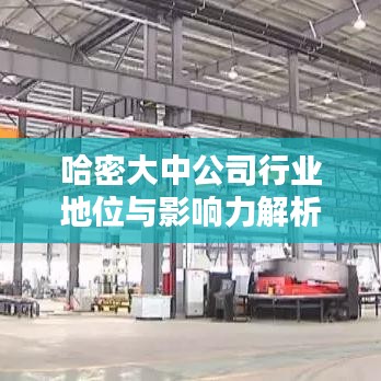 哈密大中公司行業(yè)地位與影響力解析，排名及影響力揭秘