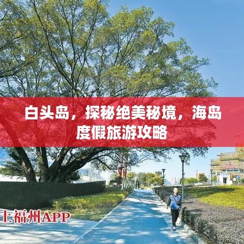 白頭島，探秘絕美秘境，海島度假旅游攻略
