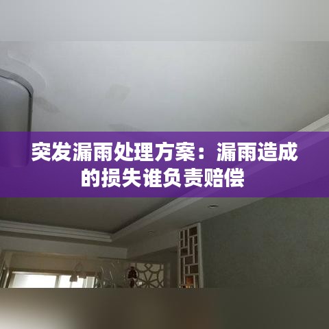 突發(fā)漏雨處理方案：漏雨造成的損失誰負(fù)責(zé)賠償 