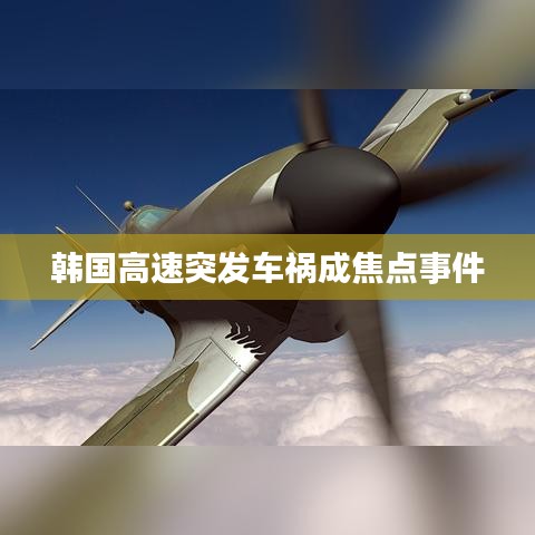 韓國(guó)高速突發(fā)車(chē)禍成焦點(diǎn)事件