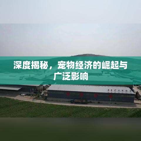 束手就禽 第2頁(yè)