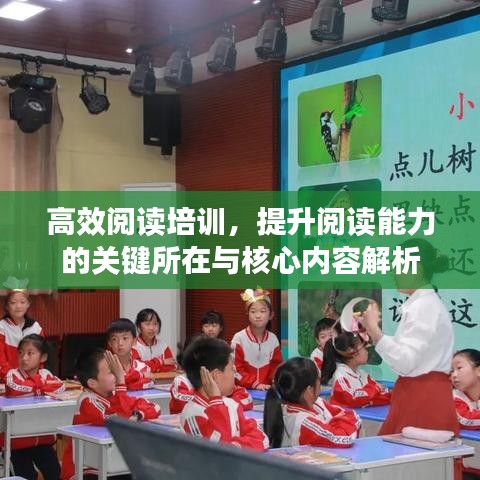 高效閱讀培訓(xùn)，提升閱讀能力的關(guān)鍵所在與核心內(nèi)容解析