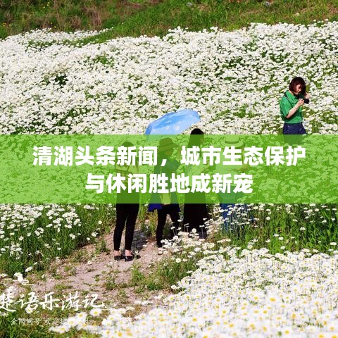 清湖頭條新聞，城市生態(tài)保護(hù)與休閑勝地成新寵