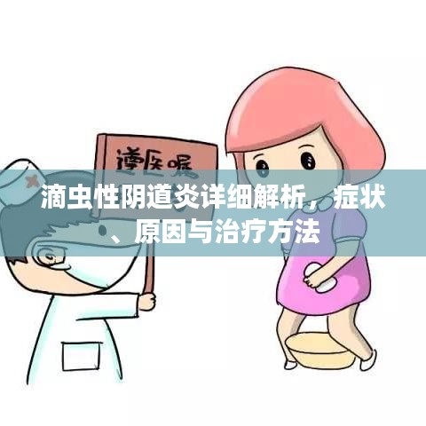 滴蟲性陰道炎詳細(xì)解析，癥狀、原因與治療方法