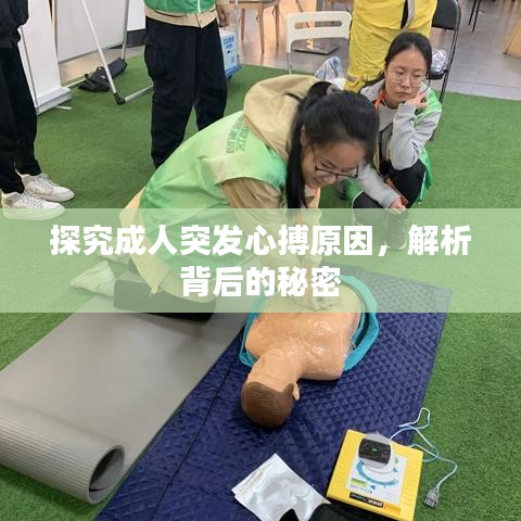 探究成人突發(fā)心搏原因，解析背后的秘密