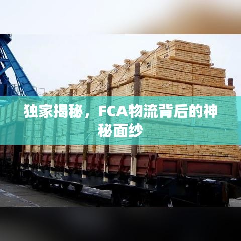 獨家揭秘，F(xiàn)CA物流背后的神秘面紗