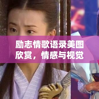 勵志情歌語錄美圖欣賞，情感與視覺的雙重享受