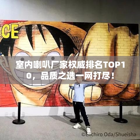 室內(nèi)喇叭廠家權(quán)威排名TOP10，品質(zhì)之選一網(wǎng)打盡！