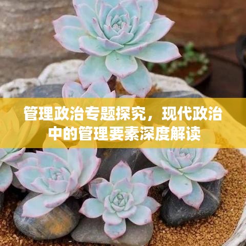 管理政治專題探究，現(xiàn)代政治中的管理要素深度解讀