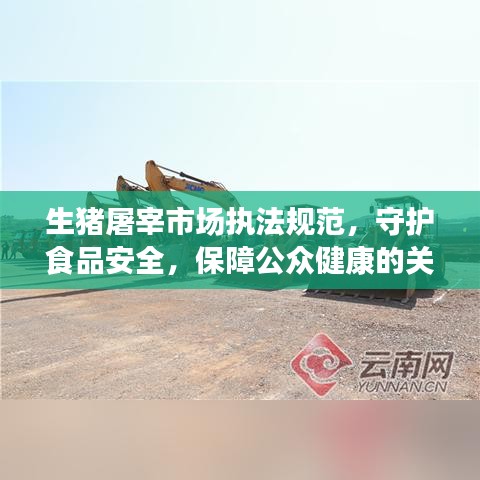 生豬屠宰市場(chǎng)執(zhí)法規(guī)范，守護(hù)食品安全，保障公眾健康的關(guān)鍵環(huán)節(jié)