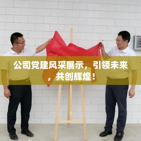 公司黨建風(fēng)采展示，引領(lǐng)未來，共創(chuàng)輝煌！