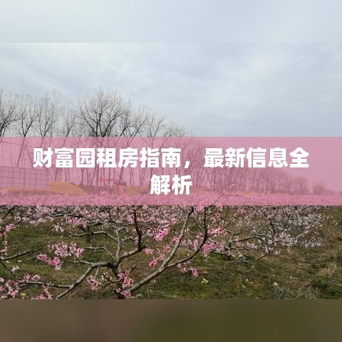 財(cái)富園租房指南，最新信息全解析