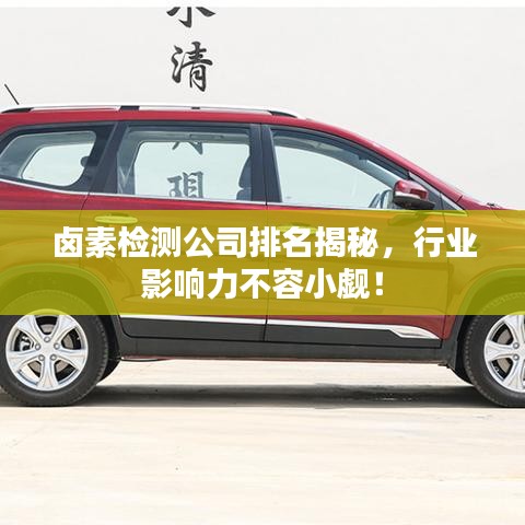 鹵素檢測公司排名揭秘，行業(yè)影響力不容小覷！