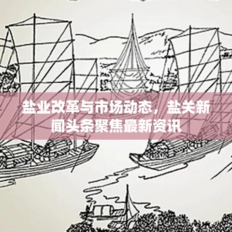 鹽業(yè)改革與市場(chǎng)動(dòng)態(tài)，鹽關(guān)新聞?lì)^條聚焦最新資訊