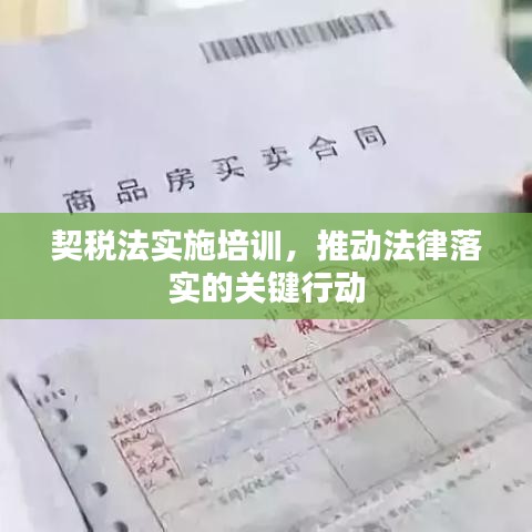 契稅法實(shí)施培訓(xùn)，推動(dòng)法律落實(shí)的關(guān)鍵行動(dòng)