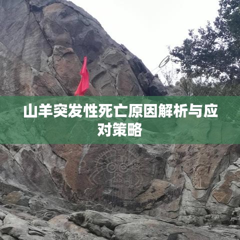 鳥(niǎo)飛兔走 第2頁(yè)
