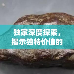 獨(dú)家深度探索，揭示獨(dú)特價(jià)值的奧秘之旅