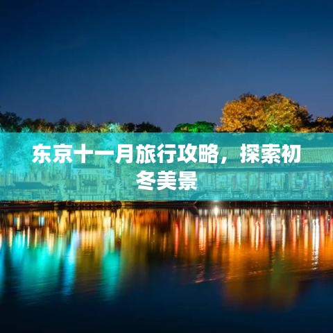 東京十一月旅行攻略，探索初冬美景