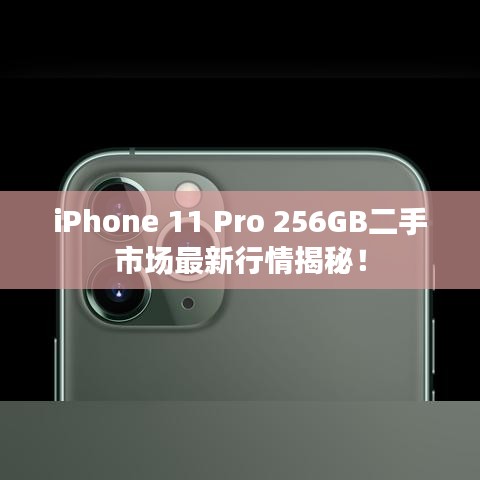 iPhone 11 Pro 256GB二手市場最新行情揭秘！