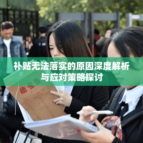 補(bǔ)貼無(wú)法落實(shí)的原因深度解析與應(yīng)對(duì)策略探討