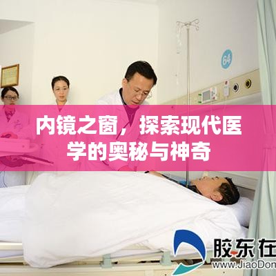 內(nèi)鏡之窗，探索現(xiàn)代醫(yī)學(xué)的奧秘與神奇