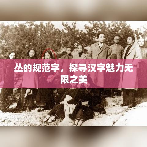 叢的規(guī)范字，探尋漢字魅力無限之美