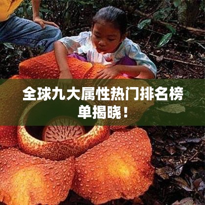 全球九大屬性熱門排名榜單揭曉！