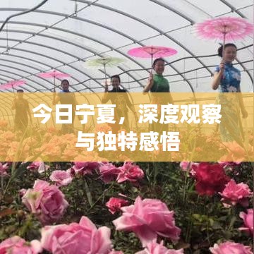 今日寧夏，深度觀察與獨特感悟