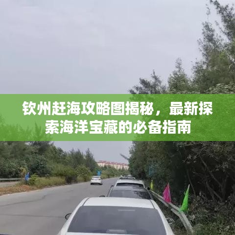 欽州趕海攻略圖揭秘，最新探索海洋寶藏的必備指南