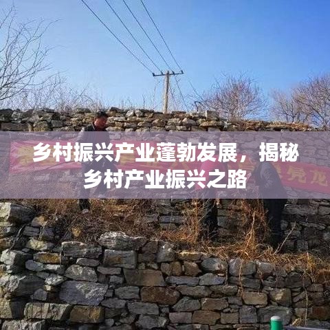 鄉(xiāng)村振興產(chǎn)業(yè)蓬勃發(fā)展，揭秘鄉(xiāng)村產(chǎn)業(yè)振興之路
