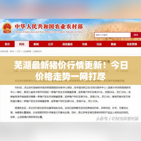 蕪湖最新豬價行情更新！今日價格走勢一網(wǎng)打盡