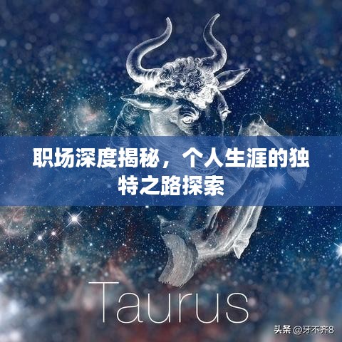 職場(chǎng)深度揭秘，個(gè)人生涯的獨(dú)特之路探索