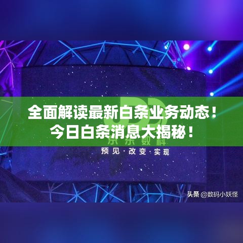 全面解讀最新白條業(yè)務(wù)動(dòng)態(tài)！今日白條消息大揭秘！