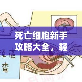 死亡細(xì)胞新手攻略大全，輕松上手游戲秘籍！