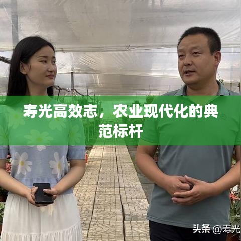 壽光高效志，農(nóng)業(yè)現(xiàn)代化的典范標桿