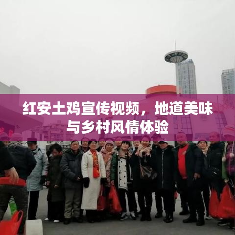 紅安土雞宣傳視頻，地道美味與鄉(xiāng)村風情體驗