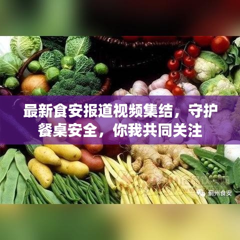 最新食安報(bào)道視頻集結(jié)，守護(hù)餐桌安全，你我共同關(guān)注
