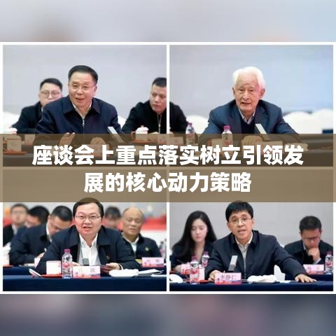 座談會上重點落實樹立引領發(fā)展的核心動力策略